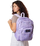 JanSport Laptop Backpack - Computer Bag with 2 Compartments, Ergonomic Shoulder Straps, 15” Laptop Sleeve, Haul Handle - Pastel Petals - Lilac