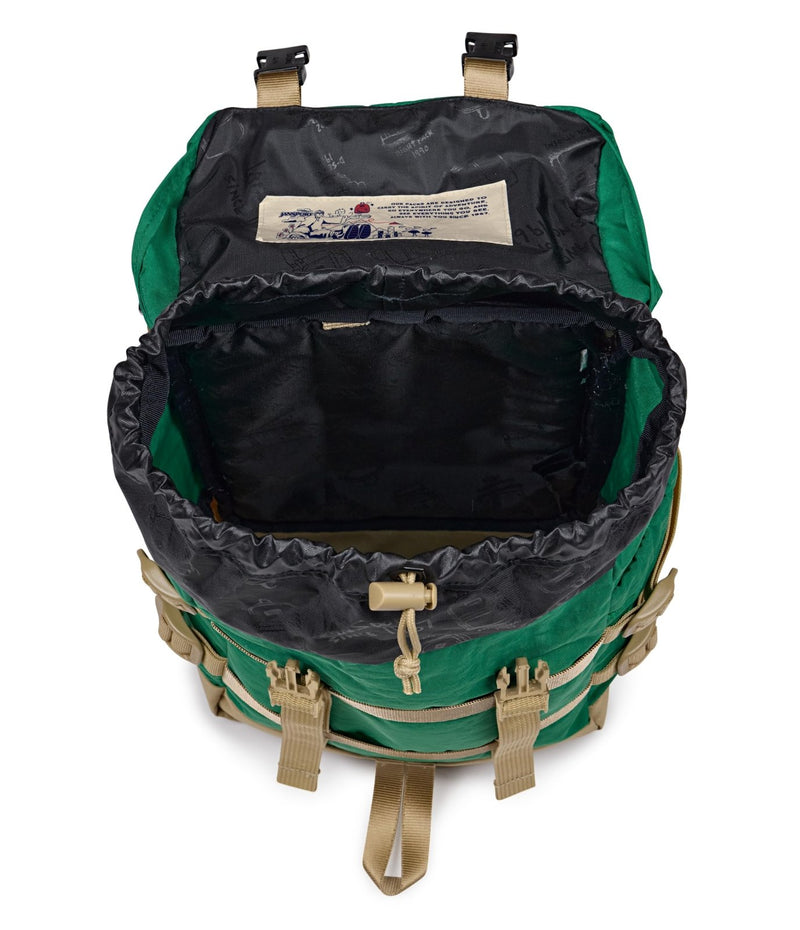 JanSport Mini Skip Pack – Compact Backpack with Main Compartment, Side Water Bottle Pocket, and Zippered Accessory Pocket, Jelly Kelly