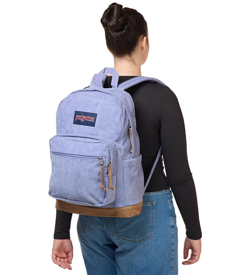JanSport Right Pack Expressions Backpack – Main Compartment, 15 - inch Padded Laptop Compartment, Side Water Bottle Pocket, Utility Pocket with Zippered Rain Flap, Lavender Ash Corduroy