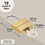 Juvale Luggage Locks with Keys - Mini Lock for Diaries & Jewelry Boxes - Travel Security for Suitcases & Bags - 12 Pack, 0.7 x 1.2 x 0.25 in, Gold & Silver