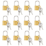 Juvale Luggage Locks with Keys - Mini Lock for Diaries & Jewelry Boxes - Travel Security for Suitcases & Bags - 12 Pack, 0.7 x 1.2 x 0.25 in, Gold & Silver