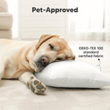 KeaBabies 2 - Pack Toddler Pillows 2 Year Old to 5 - 13x18 Soft Organic Cotton Kids Pillow for Sleeping, Travel, School, Daycare, Nap, Toddler Bed, Machine Washable, Without Pillowcase (Soft White)