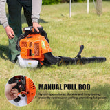 Lefitap 80CC Backpack Leaf Blower Gas Powered - 900 CFM | 4.3 HP | 206 MPH High Airflow Heavy Duty Commercial Gas Leaf Blower for Yard Lawn Care, Clears Leaves, Debris & Snow, EB850EZ