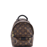 Louis Vuitton, Pre - Loved Palm Springs Backpack Monogram Canvas Mini, Brown