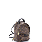 Louis Vuitton, Pre - Loved Palm Springs Backpack Monogram Canvas Mini, Brown