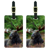 Moose Male Bull Antlers Luggage Tags Suitcase Carry-On ID Set of 2