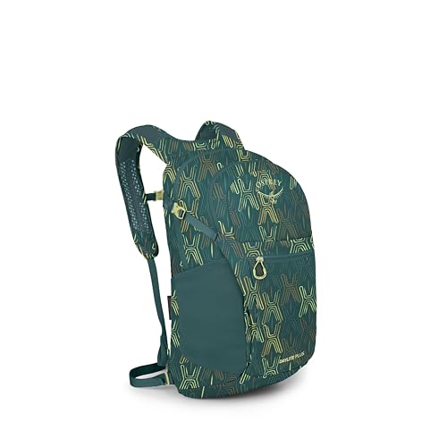 Osprey Daylite Plus Commuter Backpack - Everyday Pack with Laptop Sleeve, Bottle Pockets, and Extra Storage, Fuzzy Window Print/Torrent Blue | Osprey Backpacks