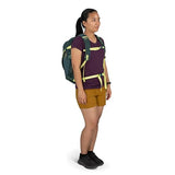 Osprey Daylite Plus Commuter Backpack - Everyday Pack with Laptop Sleeve, Bottle Pockets, and Extra Storage, Fuzzy Window Print/Torrent Blue | Osprey Backpacks