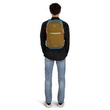 Osprey Daylite Plus Earth Commuter Backpack for Men and Women, Dark Charcoal/Blue Flame