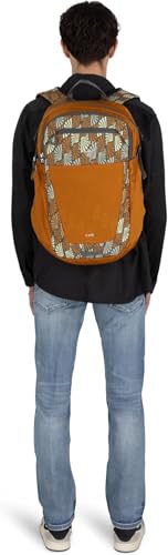 Osprey Flare Commuter Laptop Backpack, Black