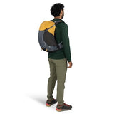 Osprey Hikelite 26L Durable Hiking Backpack - Travel Daypack with Rain Cover for Men and Women, Tungsten Yellow