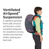 Osprey Hikelite 28L Durable Hiking Backpack - Travel Daypack with Rain Cover for Men and Women, Raven Black | Osprey Backpacks