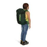 Osprey Jet 18L Kid's Hiking Backpack, Euphoria Purple