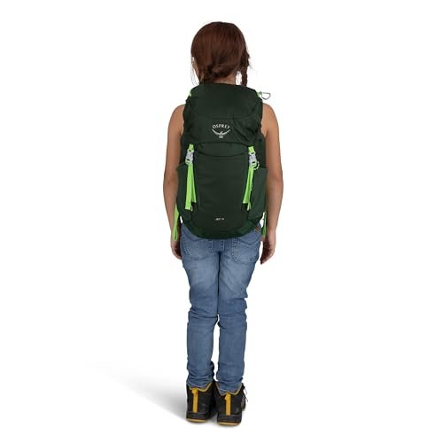 Osprey Jet 18L Kid's Hiking Backpack, Euphoria Purple