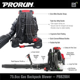 PRORUN 75.6cc 1020 CFM 240 MPH Gas - Powered 2 - Cycle Backpack Leaf Blower, PBB2884