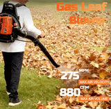 PROYAMA 72CC Gas Backpack Leaf Blower, 2 - Cycle 880CFM 275MPH Gas Powered Engine, 2 in 1 Nozzle Low Vibration and Ergonomic Design with Cruise Control for Outdoor GardenYard Cleaning and Snow Removal