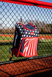 Rawlings | LEGION Backpack Equipment Bag | Baseball & Softball | Grey/Black