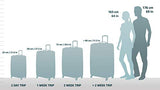 Rockland London Hardside Spinner Wheel Luggage, Pink, Carry - On 20 - Inch