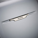 Samsonite Winfield 3 DLX Hardside Expandable Luggage with Spinners, Silver, Carry - On 20 - Inch