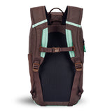 Sherpani Switch, 15L Lightweight Travel Hiking Backpack, Hydration Backpack, Backpack Purse for Women, Daypack for Women, Fits 13 Inch Laptop (Seagreen)