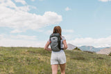 Sherpani Switch, 15L Lightweight Travel Hiking Backpack, Hydration Backpack, Backpack Purse for Women, Daypack for Women, Fits 13 Inch Laptop (Stone)