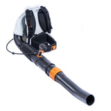 Stihl BR 700 back - carrying professional leaf blower with adjustable blow tube and a maximum blowing force of 88 m/s