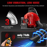 TDH Gas Backpack Leaf Blower, 2 - Stroke Handheld Snow Blower with 665 CFM & 205 MPH High Power for Commercial Lawn Care, Yard Debris & Snow Removal,Red