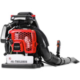 Thalorus 63CC Gas Backpack Leaf Blower, 2 - Stroke, 665 CFM, 205 MPH, Variable Speed & Cruise Control, Ergonomic Harness, Reduced Emissions, for Fast Yard Cleanup (Red)