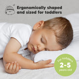 Toddler Pillow with Pillowcase - 13x18 My Little Dreamy Kids Travel Bed Pillows for Sleeping, Organic Cotton Small Pillowcase, Soft & Breathable, Machine Washable, Toddlers 2 - 5 Years Old (Soft White)