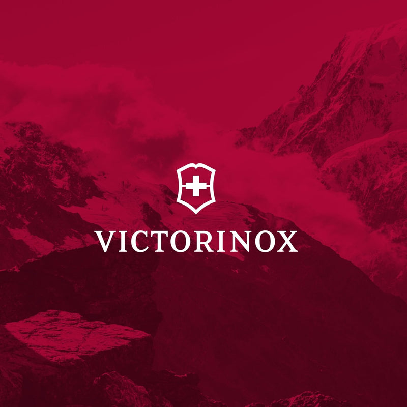 Victorinox Altmont Original Laptop Backpack - Professional Travel Backpack for 15.6" Laptop - Lightweight Laptop Bag for Travel Accessories - 22 Liters, Black