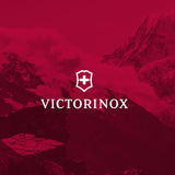 Victorinox VX Sport EVO Compact Backpack - Modern Backpack to Carry Travel Accessories - Includes Airflow Channels & Adjustable Straps - 20 Liters, Blue