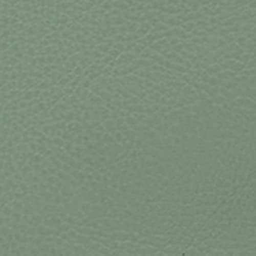 Fossil Women's Rachel Eco-Leather Tote Bag Purse Handbag, Sage (Model: ZB7507343) - backpacks4less.com