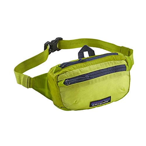 Patagonia Lightweight Travel Mini Hip Pack