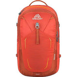 Gregory Mountain Products Anode Men's Daypack, Ferrous Orange, One Size - backpacks4less.com