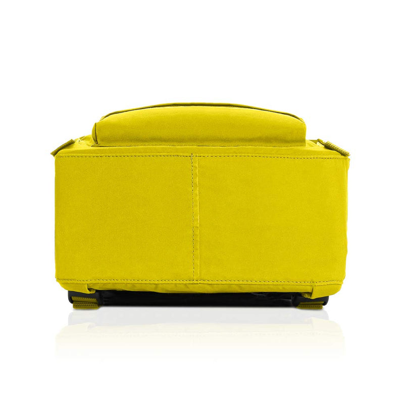 Fjallraven - Kanken Classic Backpack for Everyday, Birch Green - backpacks4less.com