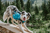 Outward Hound DayPak Blue Dog Saddleback Backpack, Large - backpacks4less.com