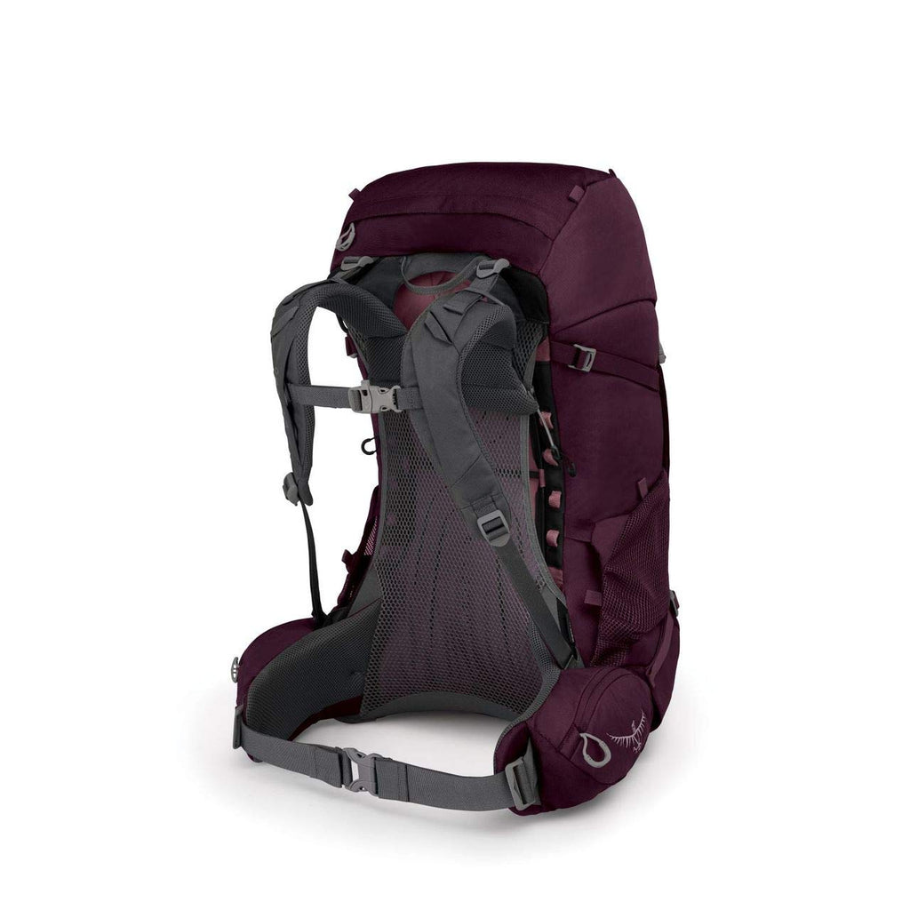 Osprey Packs Renn 50 Women's Backpacking Pack, Cinder Grey, One Size - backpacks4less.com
