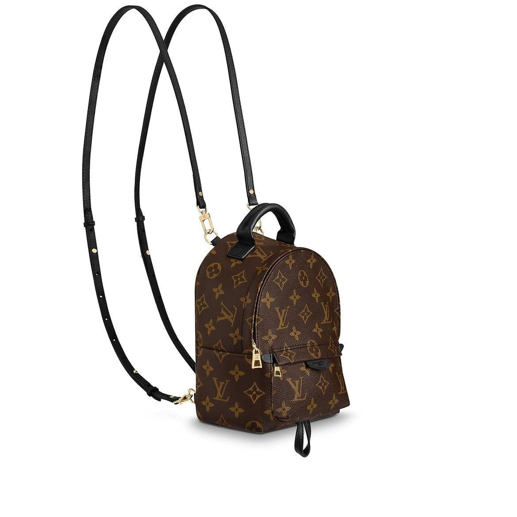 Louis Vuitton Monogram Canvas Palm Springs Mini Backpack Bag w