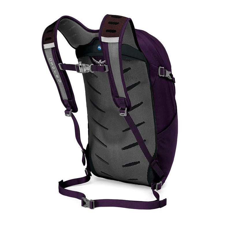Osprey Packs Daylite Plus Daypack, Amulet Purple - backpacks4less.com