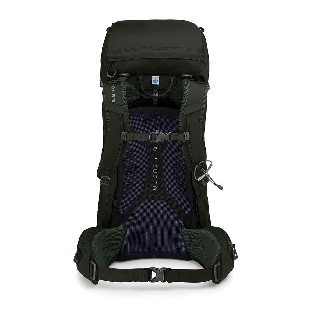 Osprey Packs Kestrel 38 Backpack Picholine Green Medium Large backpacks4less