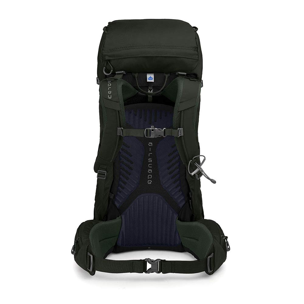 Osprey Packs Kestrel 38 Backpack, Picholine Green, Medium/Large - backpacks4less.com