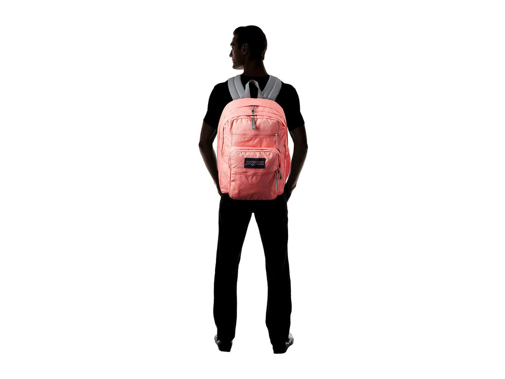 JanSport Unisex Big Student Strawberry Pink One Size - backpacks4less.com