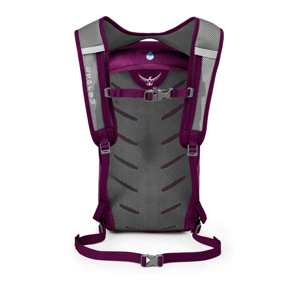 Osprey Packs Daylite Daypack, Eggplant Purple - backpacks4less.com