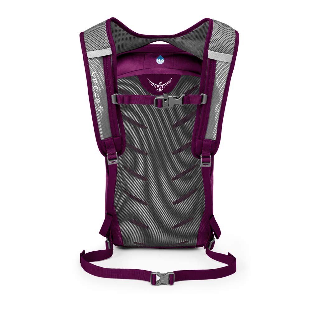 eggplant purple osprey daylite daypack Osprey Packs Daylite Daypack, Eggplant Purple