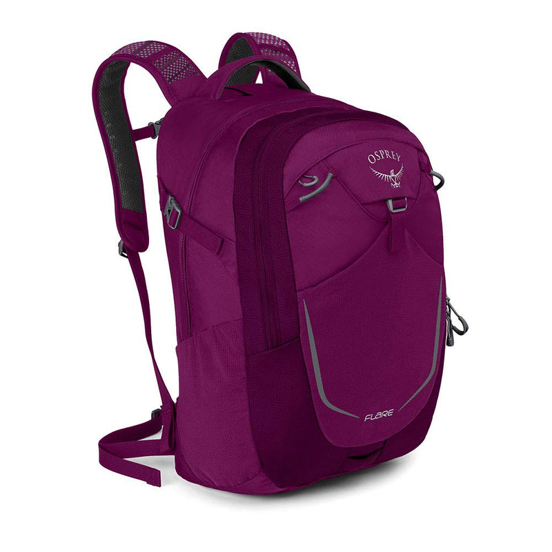Osprey Packs Flare Backpack - Eggplant Purple, Eggplant Purple               , One Size - backpacks4less.com