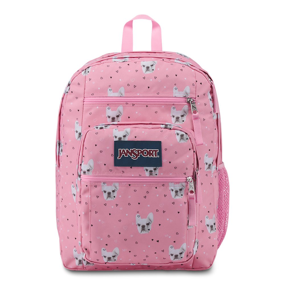 school bags jansport for girls