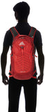 Gregory Mountain Products Nano 20 Liter Daypack, Fiery Red, One Size - backpacks4less.com