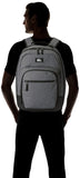 Quiksilver Men's SCHOOLIE Cooler II Backpack, Light Grey Heather, 1SZ - backpacks4less.com