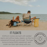 IceMule Classic Insulated Backpack Cooler Bag - Hands-Free, Collapsible, and Waterproof, This Portable Cooler is an Ideal Sling Backpack for Hiking, The Beach, Picnics and Camping-Small, Sunshine - backpacks4less.com