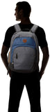 Quiksilver Men's SCHOOLIE Cooler II Backpack, f jord blue heather, 1SZ - backpacks4less.com